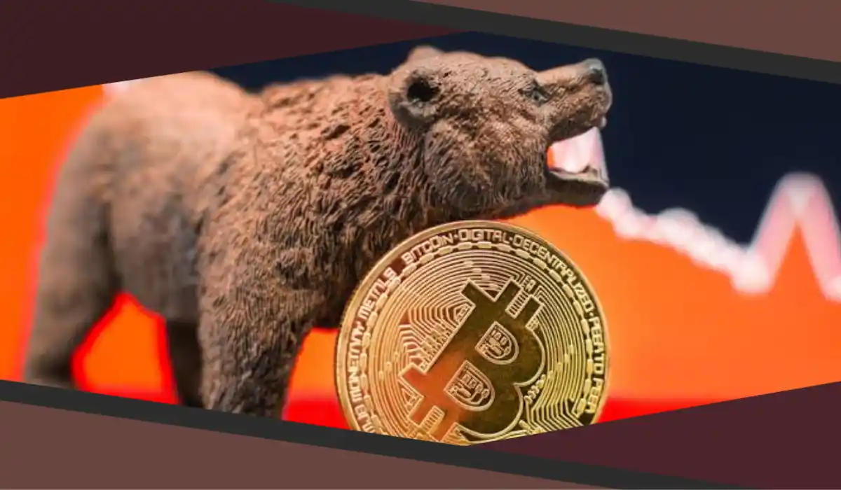 Crypto Bear Market Ending